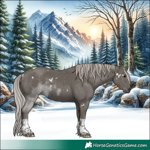 Horse Color:White Spotted Silver Black Tobiano 