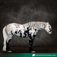 Horse Color:Silver Brown Ice Dun Sabino 