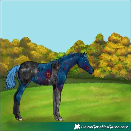 Horse Color:ERROR: UNKNOWN ANOMALY