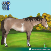 Horse Color:Liver Red Dun Sabino Tobiano Rabicano 