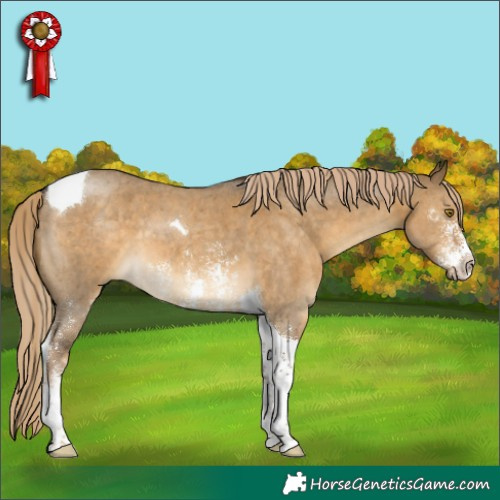 Horse Color:Chocolate Palomino Dun Sabino Tobiano 