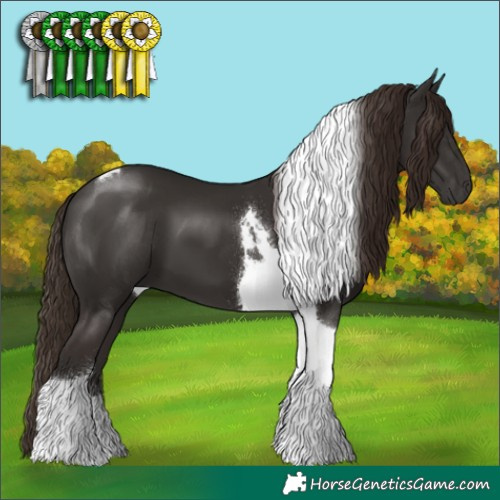 Horse Color:Liver Chestnut Tobiano 