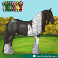 Horse Color:Liver Chestnut Tobiano 