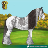 Horse Color:Liver Chestnut Sabino Tobiano 