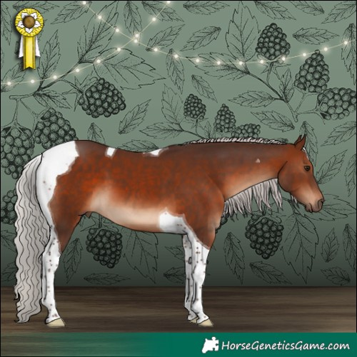 Horse Color:Silver Brown Tobiano 
