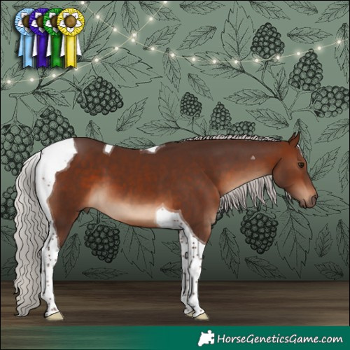 Horse Color:Silver Brown Tobiano 