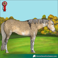Horse Color:White Spotted Silver Buckskin Dun Tobiano