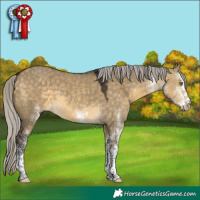 Horse Color:White Spotted Silver Buckskin Dun Tobiano