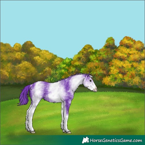 Horse Color:Watercolor White Spotted Black 