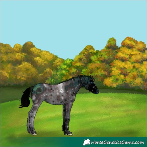 Horse Color:ERROR: UNKNOWN ANOMALY