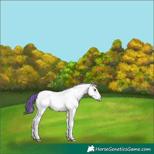 Horse Color:Watercolor White Spotted Bay Ice 