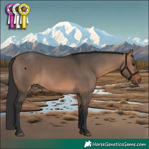 Horse Color:White Spotted Brown Dun 