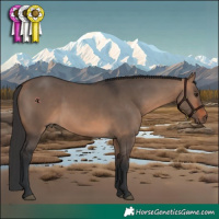 Horse Color:White Spotted Brown Dun