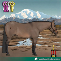 Horse Color:White Spotted Brown Dun 
