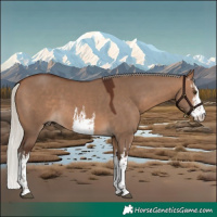 Horse Color:White Spotted Silver Brown Dun 