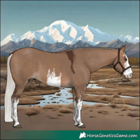 Horse Color:White Spotted Silver Brown Dun 