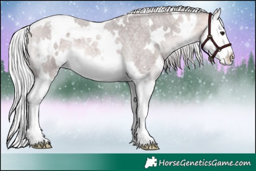 Horse Color:Platinum White Spotted Silver Buckskin Roan Splash 