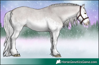 Horse Color:Platinum White Spotted Silver Buckskin Roan Dun Splash