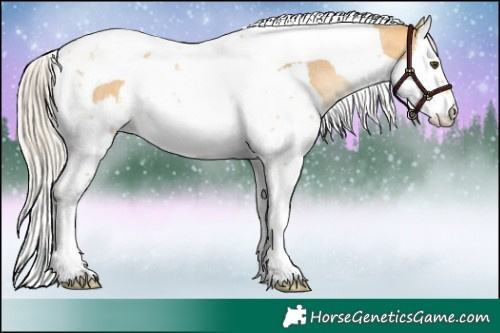 Horse Color:Silver Buckskin Roan Dun Splash Tobiano