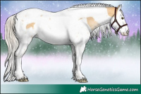 Horse Color:Silver Buckskin Roan Dun Splash Tobiano 