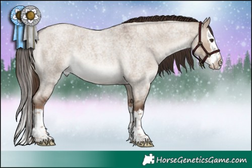 Horse Color:Liver Red Dun Roan Splash 