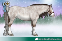 Horse Color:Liver Red Dun Roan Splash 