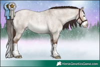 Horse Color:Liver Red Dun Roan Splash 