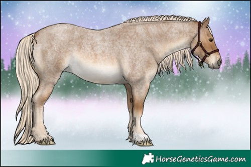 Horse Color:Chocolate Palomino Roan 