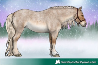 Horse Color:Chocolate Palomino Roan 