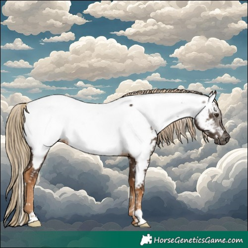Horse Color:Gray Chocolate Palomino Near Fewspot 