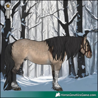 Horse Color:Brown Dun Tobiano 
