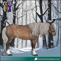 Horse Color:Silver Brown Dun Tobiano 