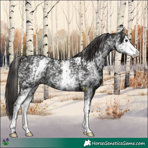 Horse Color:White Spotted Liver Chestnut Rabicano