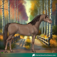 Horse Color:Liver Red Dun Rabicano