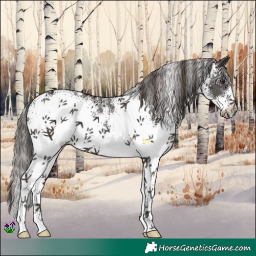 Horse Color:White Spotted Liver Chestnut 