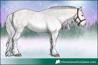 Horse Color:Platinum White Spotted Silver Buckskin Roan Splash 