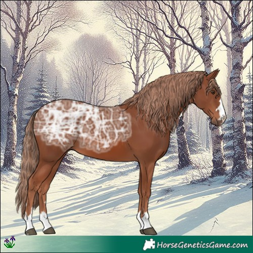 Horse Color:Chestnut Ice 