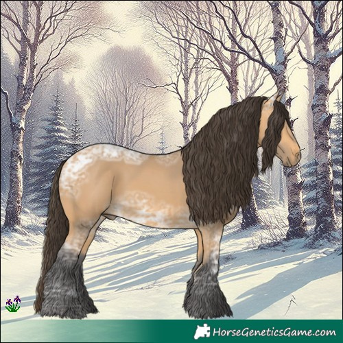 Horse Color:Buckskin Ice 