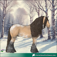 Horse Color:Buckskin Ice