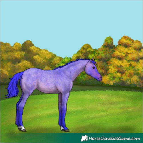 Horse Color:Watercolor Brown Roan Dun 