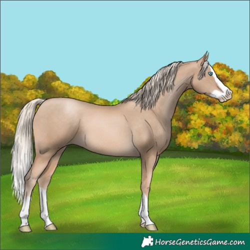Horse Color:Chocolate Palomino Pearl Splash 