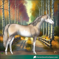 Horse Color:White Spotted Chocolate Palomino Pearl Onyx Mushroom
