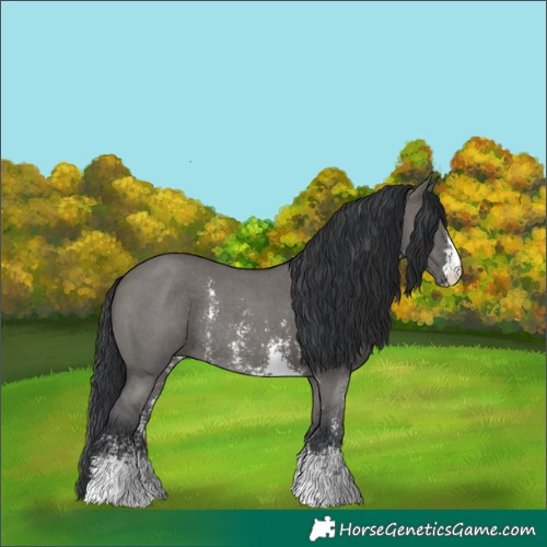 Horse Color:Grullo Sabino Rabicano 
