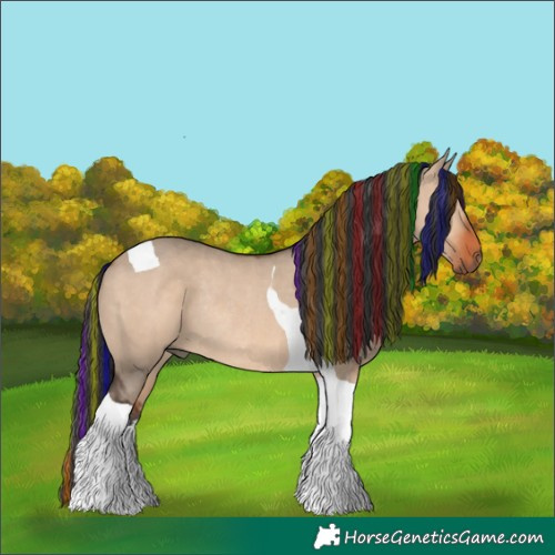 Horse Color:Painted Brown Dun Tobiano Rabicano 