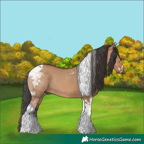 Horse Color:Bay Dun Tobiano Rabicano 