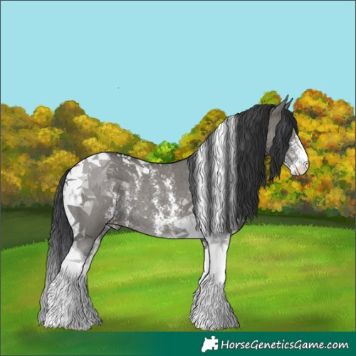 Horse Color:Grullo Sabino Tobiano Rabicano 