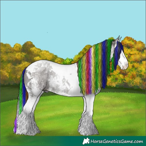 Horse Color:Painted White Spotted Grullo Splash Tobiano Rabicano 