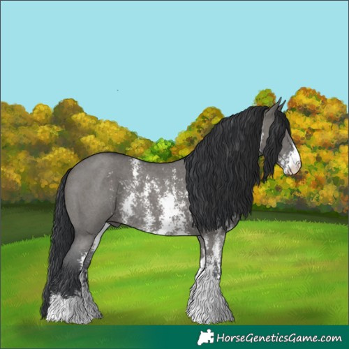 Horse Color:Grullo Sabino Rabicano 