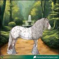 Horse Color:Silver Grullo Sabino Appaloosa Rabicano