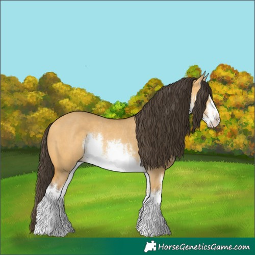 Horse Color:White Spotted Buckskin Dun Rabicano 